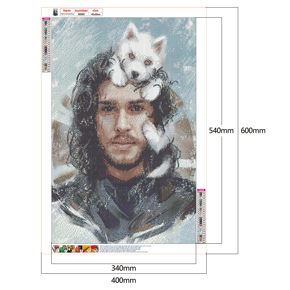 Game of Thrones - Full Round Drill Diamond Painting 40*60CM