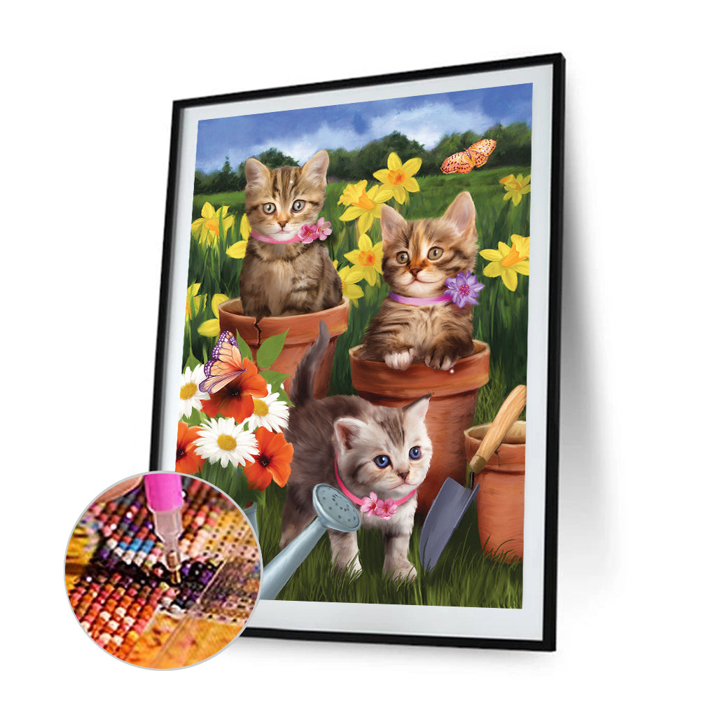 Cat - Full Round Drill Diamond Painting 30*40CM