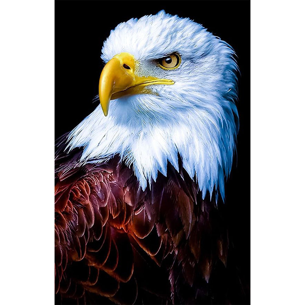 Eagle - Full Square Drill Diamond Painting 45*75CM