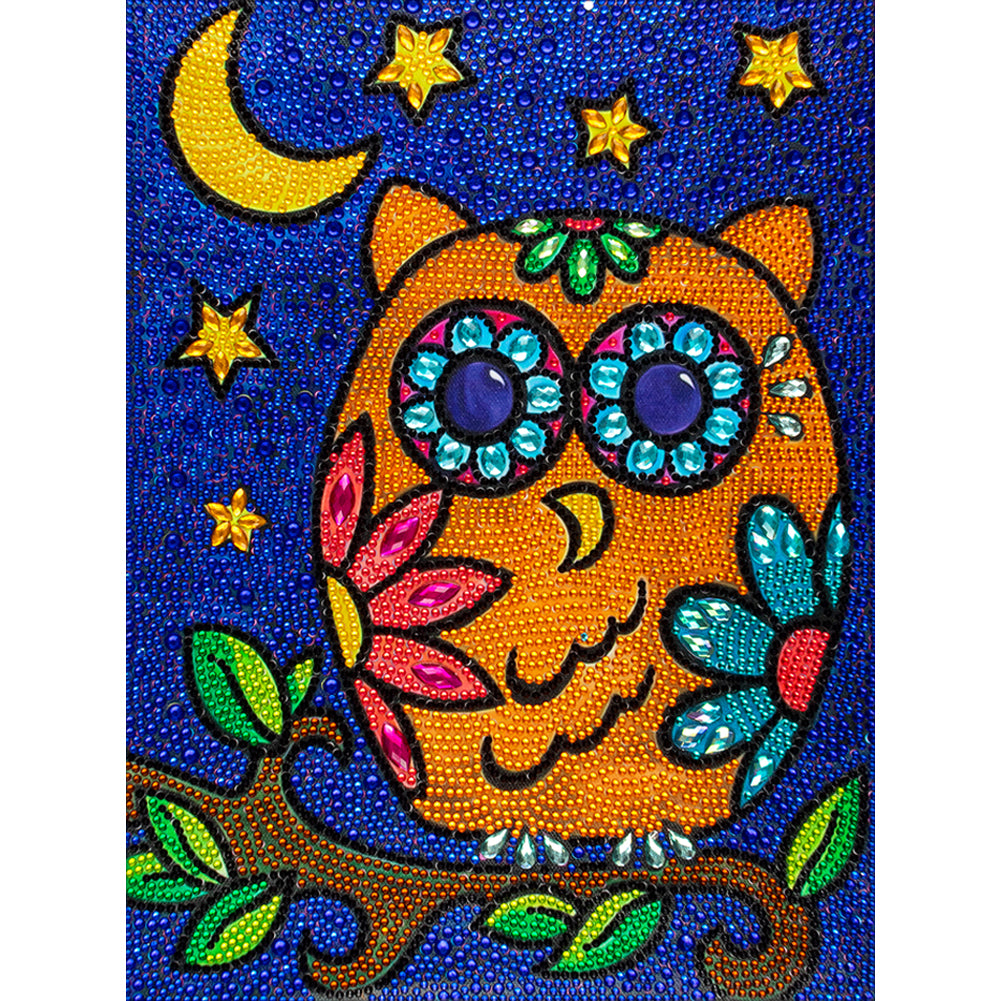 Owl - Special Shaped Drill Diamond Painting 30*40CM