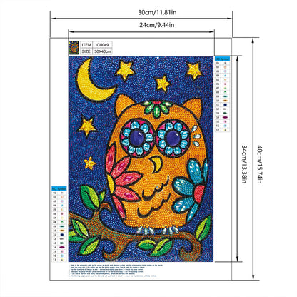 Owl - Special Shaped Drill Diamond Painting 30*40CM