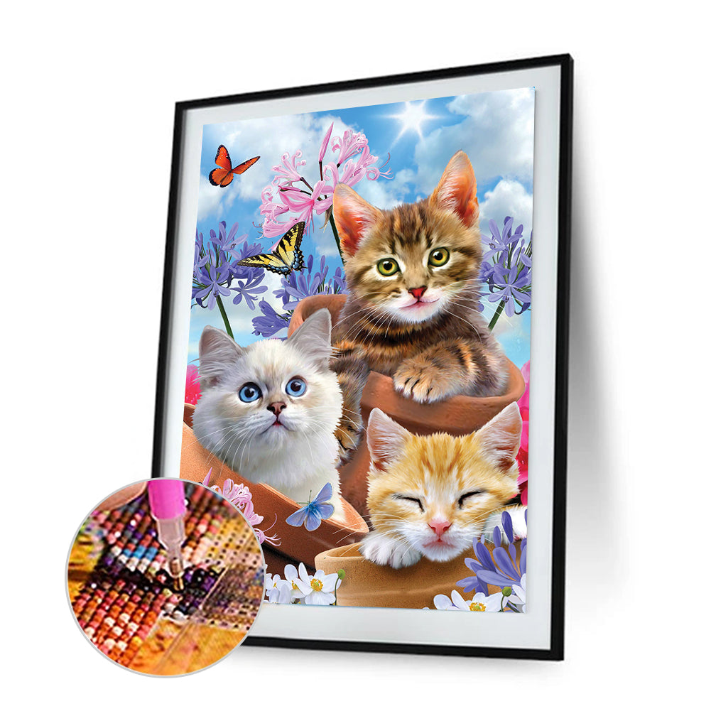 Cat - Full Round Drill Diamond Painting 30*40CM