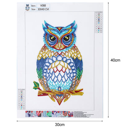 Owl - Special Shaped Drill Diamond Painting 30*40CM