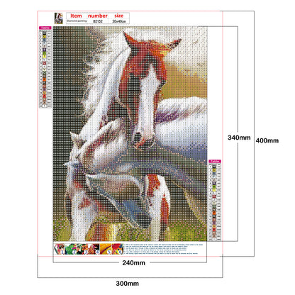 Two Horses - Full Round Drill Diamond Painting 30*40CM