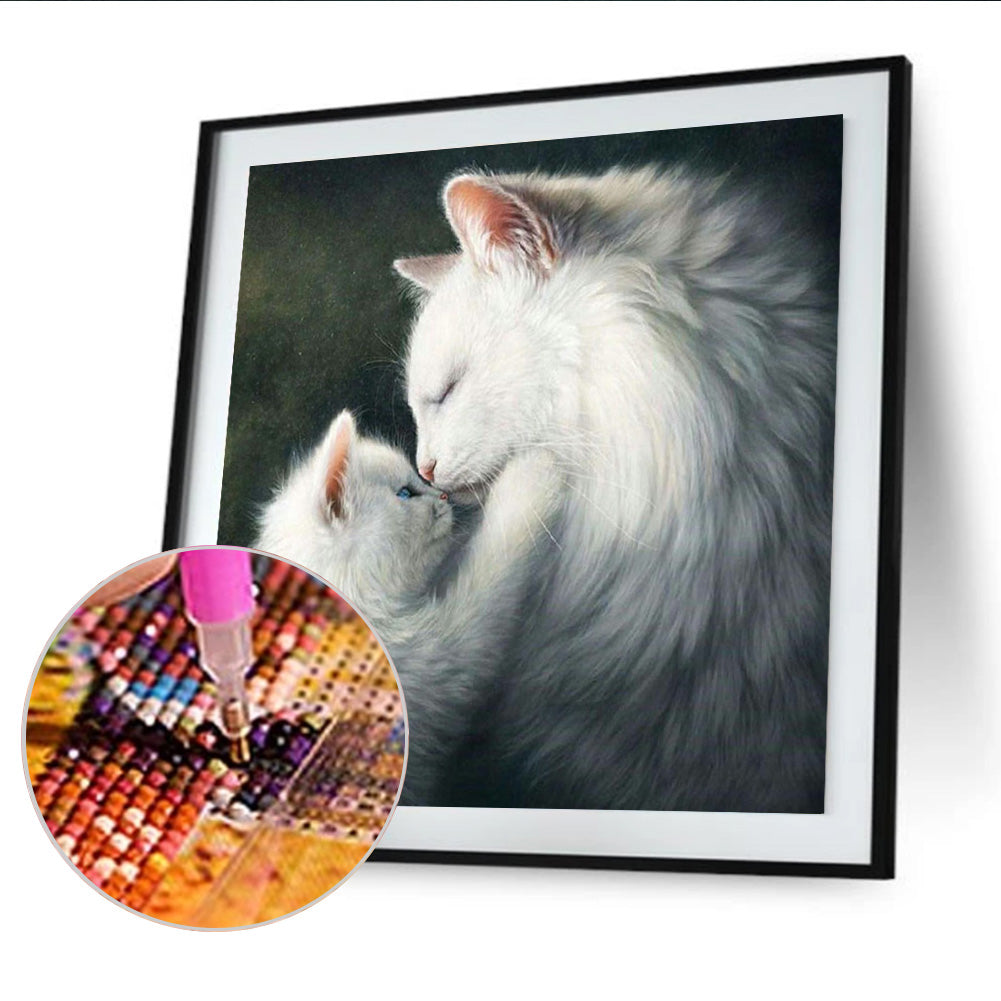 Cat - Full Square Drill Diamond Painting 30*30CM