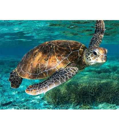 Swimming Turtle - Full Round Drill Diamond Painting 40*30CM