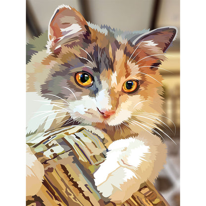 Cool Cat - Full Round Drill Diamond Painting 30*40CM