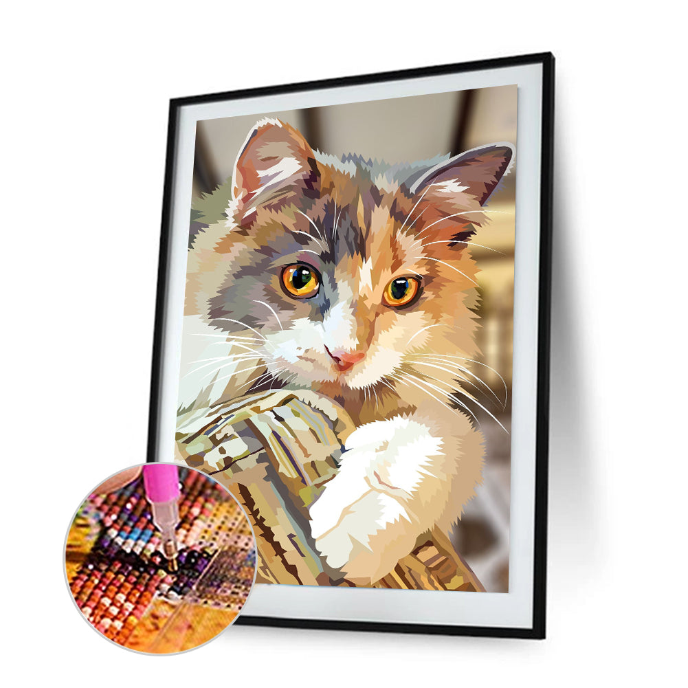 Cool Cat - Full Round Drill Diamond Painting 30*40CM