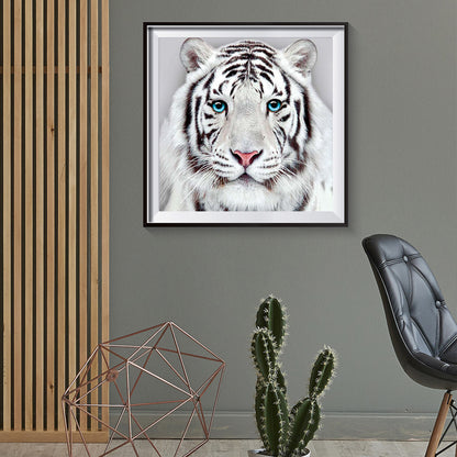 White Tiger - Full Round Drill Diamond Painting 30*30CM