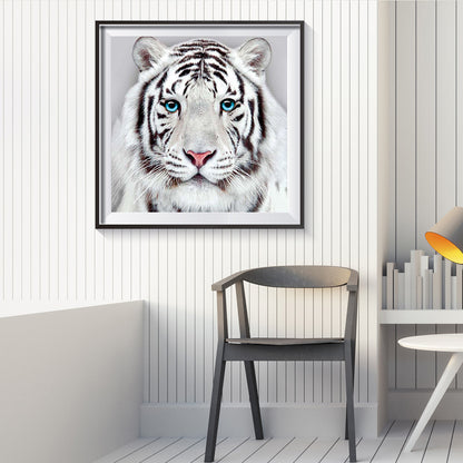 White Tiger - Full Round Drill Diamond Painting 30*30CM