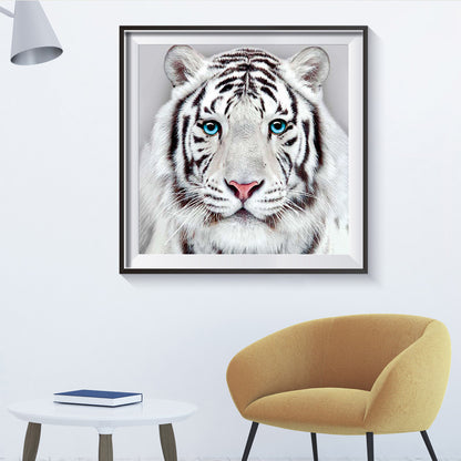 White Tiger - Full Round Drill Diamond Painting 30*30CM