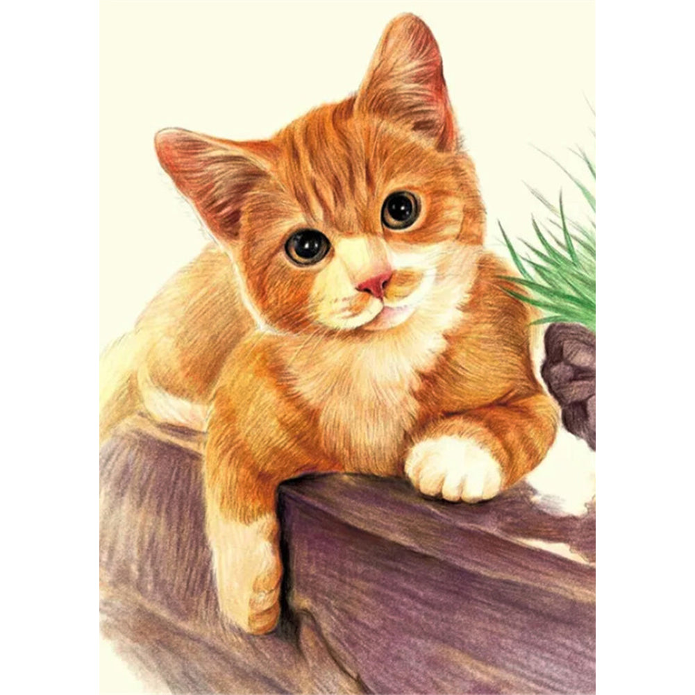 Yellow Cat - Full Round Drill Diamond Painting 30*40CM