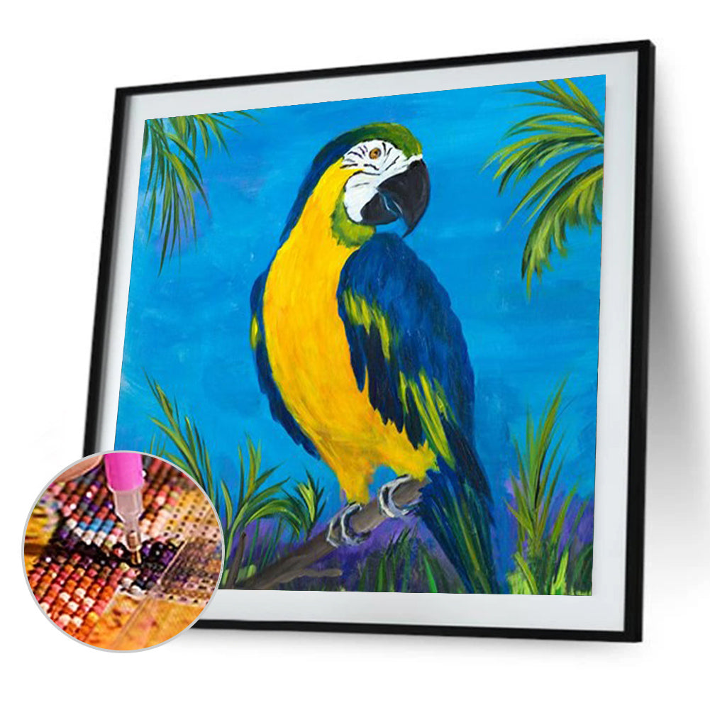 European Parrot - Full Round Drill Diamond Painting 30*30CM