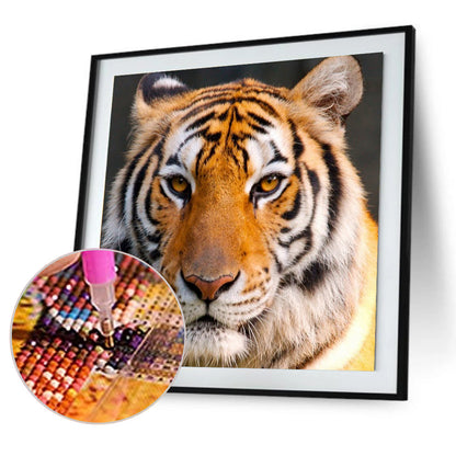 Tiger - Full Round Drill Diamond Painting 30*30CM