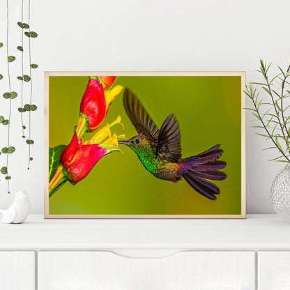 Flower Bird - Full Round Drill Diamond Painting 40*30CM