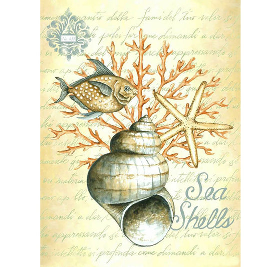 Shell Conch - Full Round Drill Diamond Painting 30*40CM