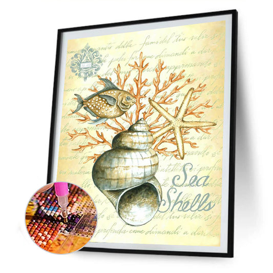 Shell Conch - Full Round Drill Diamond Painting 30*40CM