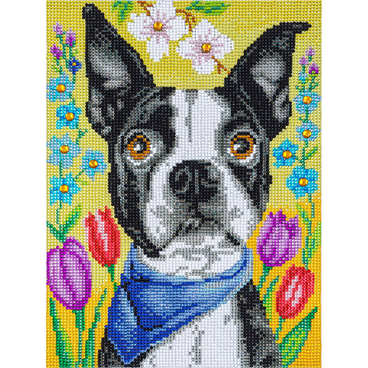 Dog - Special Shaped Drill Diamond Painting 30*40CM