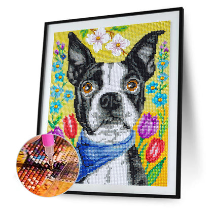 Dog - Special Shaped Drill Diamond Painting 30*40CM