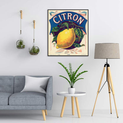 Retro Lemon - Full Round Drill Diamond Painting 35*40CM