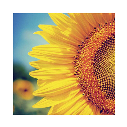 Sunflower - Full Round Drill Diamond Painting 30*30CM