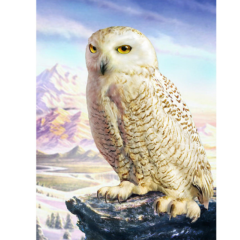 Owl - Full Round Drill Diamond Painting 30*40CM