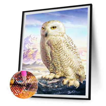 Owl - Full Round Drill Diamond Painting 30*40CM