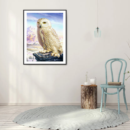 Owl - Full Round Drill Diamond Painting 30*40CM