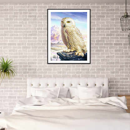 Owl - Full Round Drill Diamond Painting 30*40CM