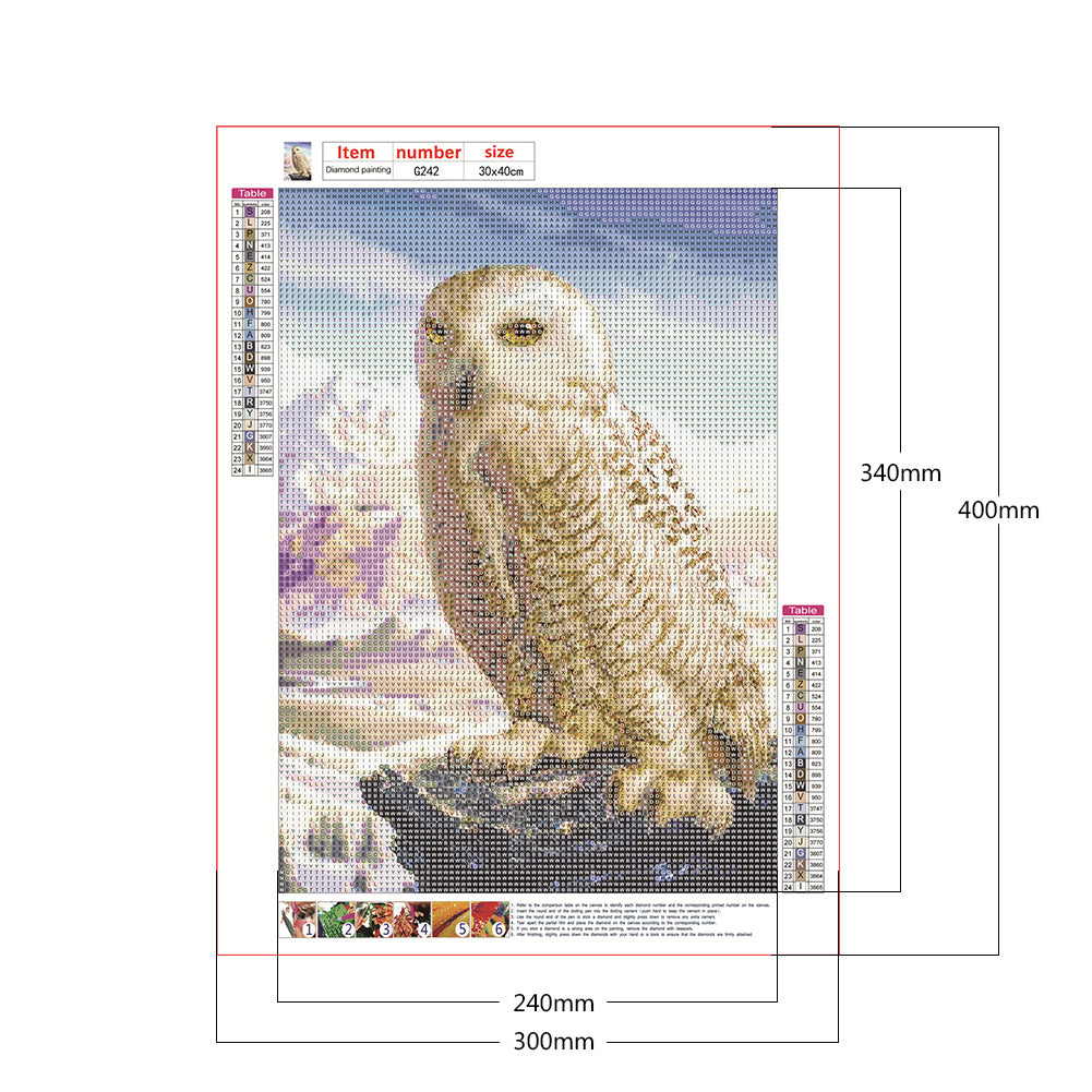 Owl - Full Round Drill Diamond Painting 30*40CM