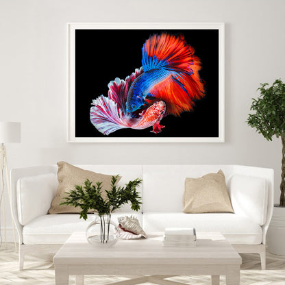 Betta Fish - Full Round Drill Diamond Painting 40*30CM