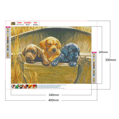 Three Dogs - Full Round Drill Diamond Painting 40*30CM