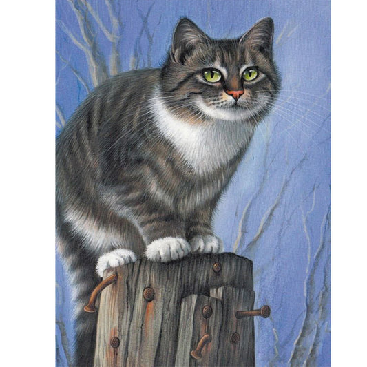 Cat - Full Round Drill Diamond Painting 30*40CM