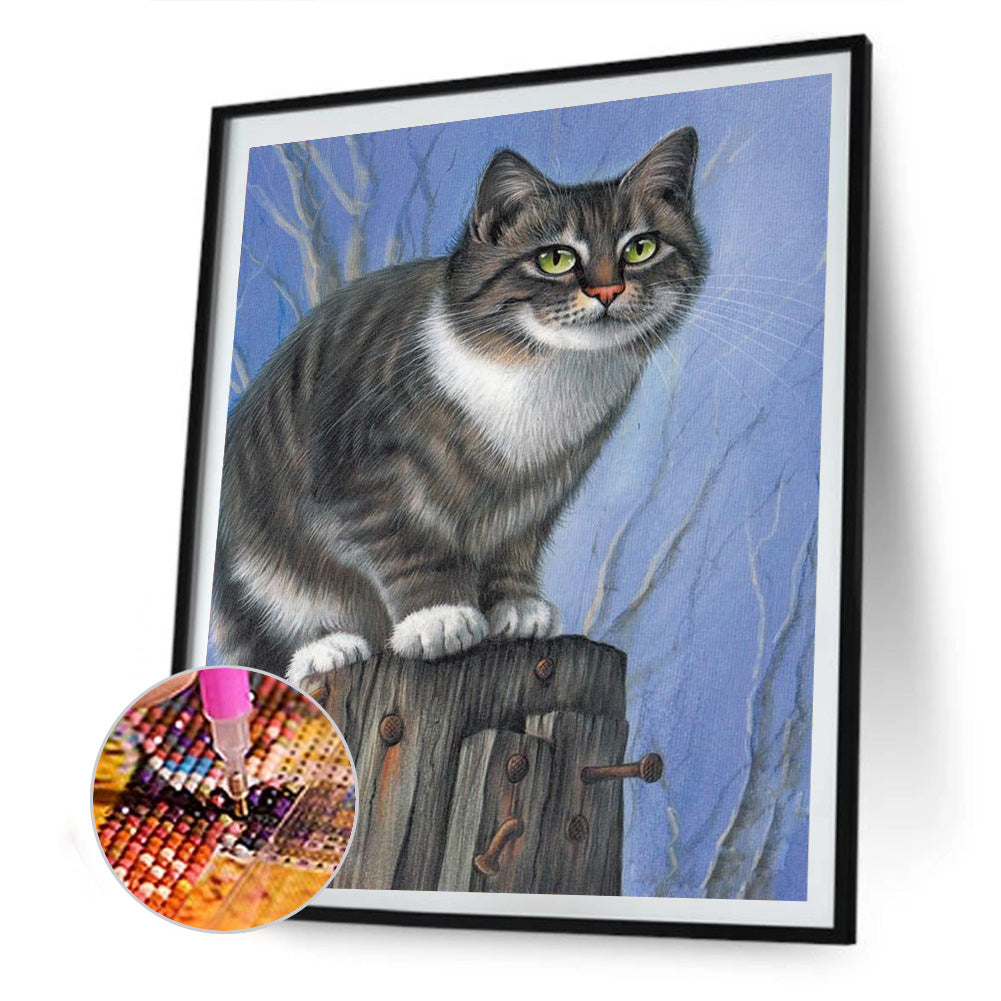 Cat - Full Round Drill Diamond Painting 30*40CM