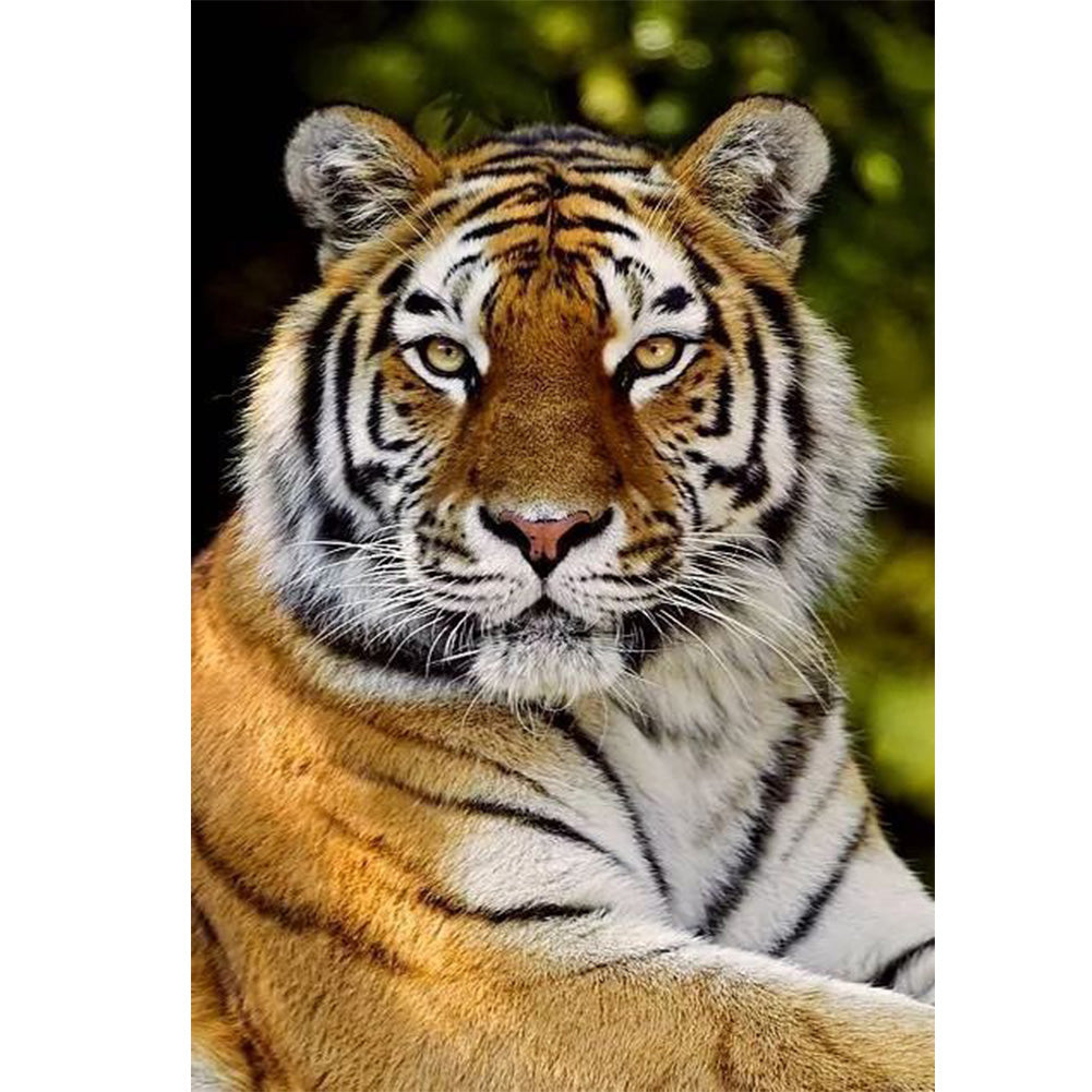 Sitting Tiger - Full Round Drill Diamond Painting 40*60CM