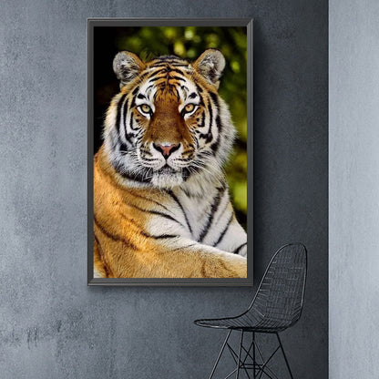 Sitting Tiger - Full Round Drill Diamond Painting 40*60CM