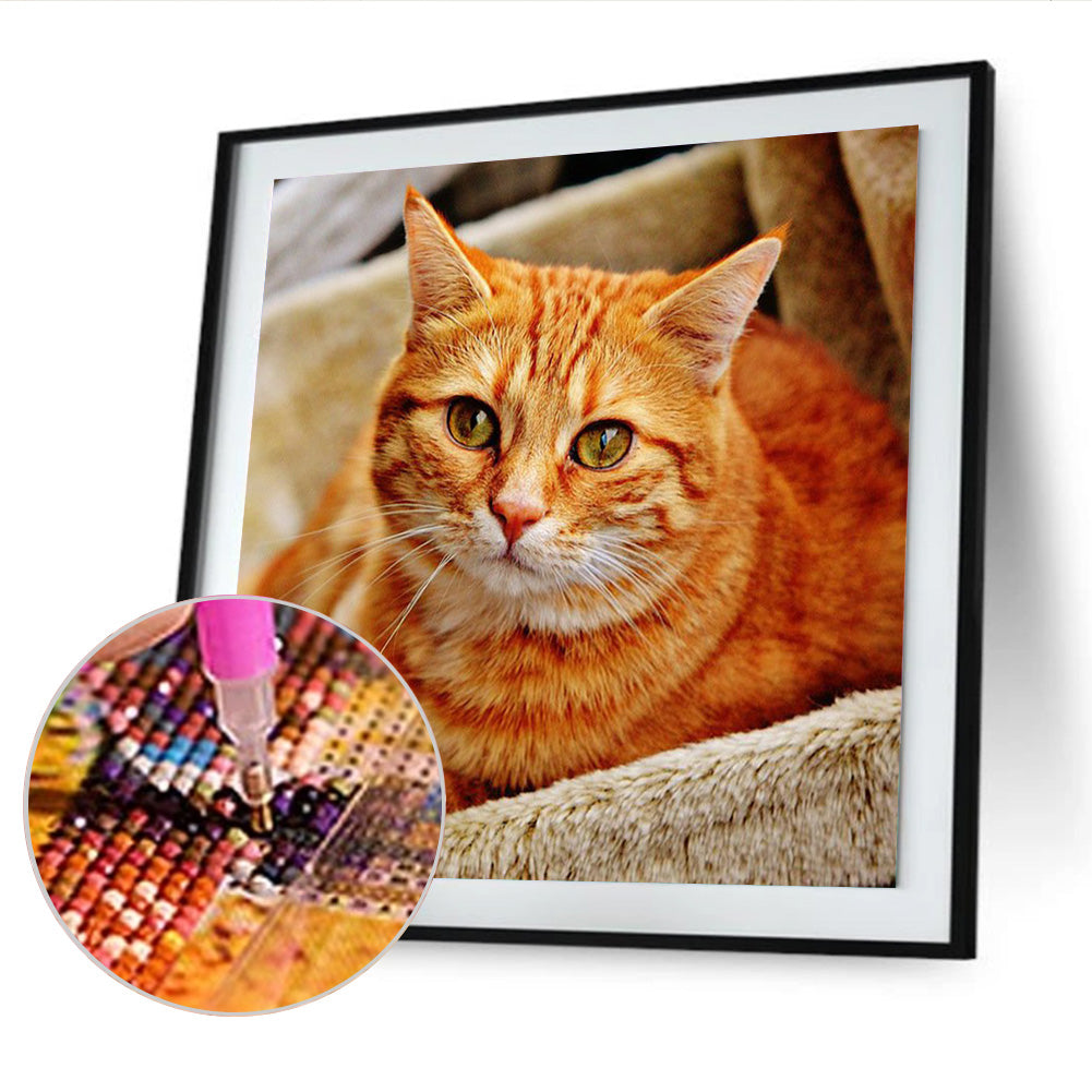 Yellow Cat - Full Round Drill Diamond Painting 30*30CM