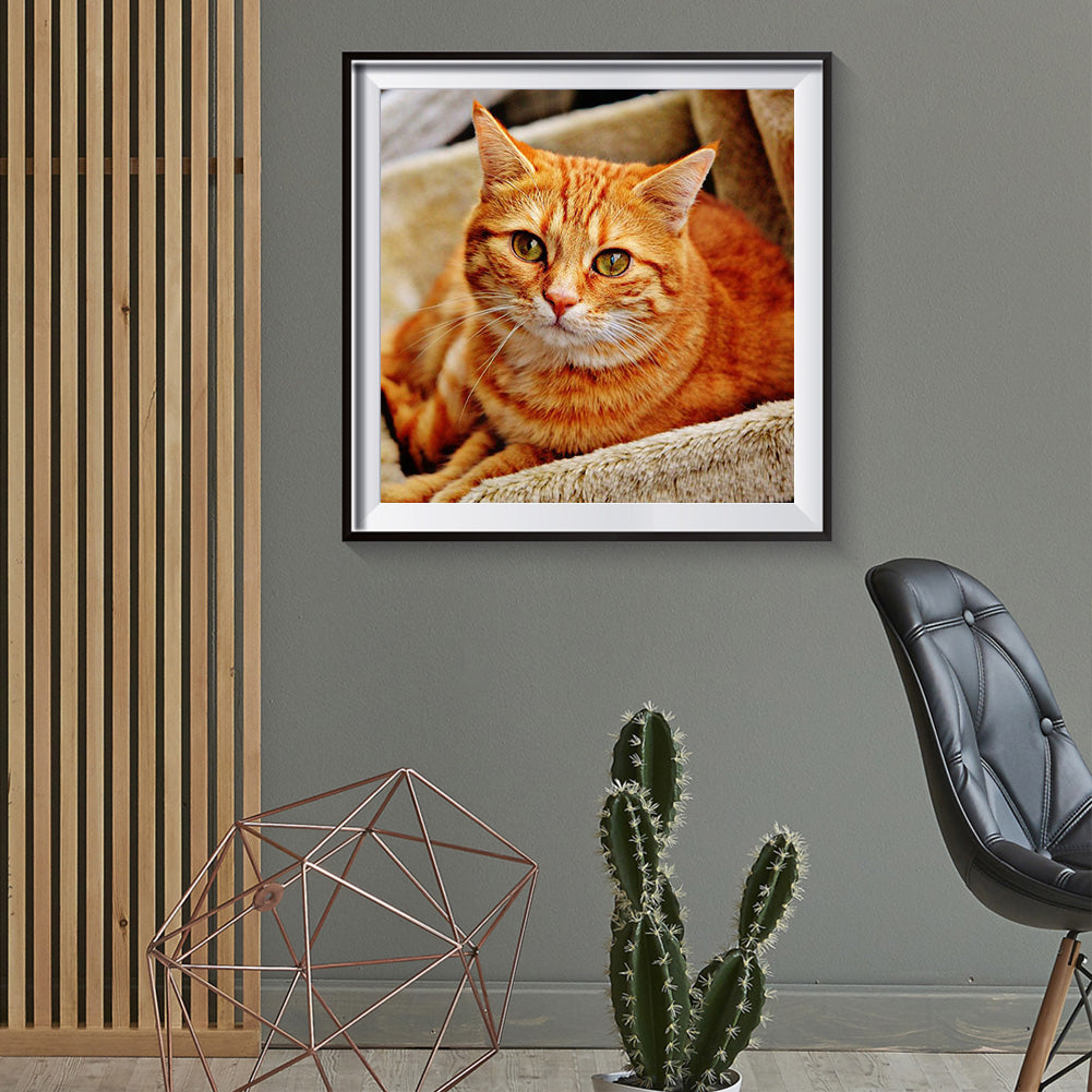 Yellow Cat - Full Round Drill Diamond Painting 30*30CM