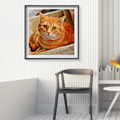 Yellow Cat - Full Round Drill Diamond Painting 30*30CM