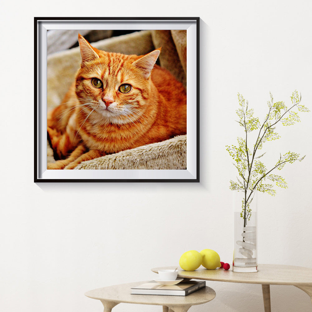 Yellow Cat - Full Round Drill Diamond Painting 30*30CM