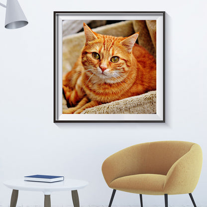 Yellow Cat - Full Round Drill Diamond Painting 30*30CM