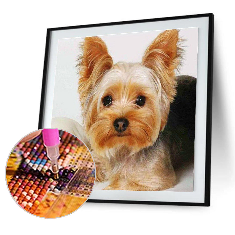 Dog - Full Round Drill Diamond Painting 40*40CM