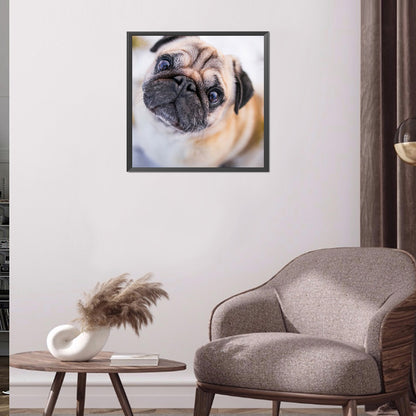 Pug Dog - Full Round Drill Diamond Painting 40*40CM