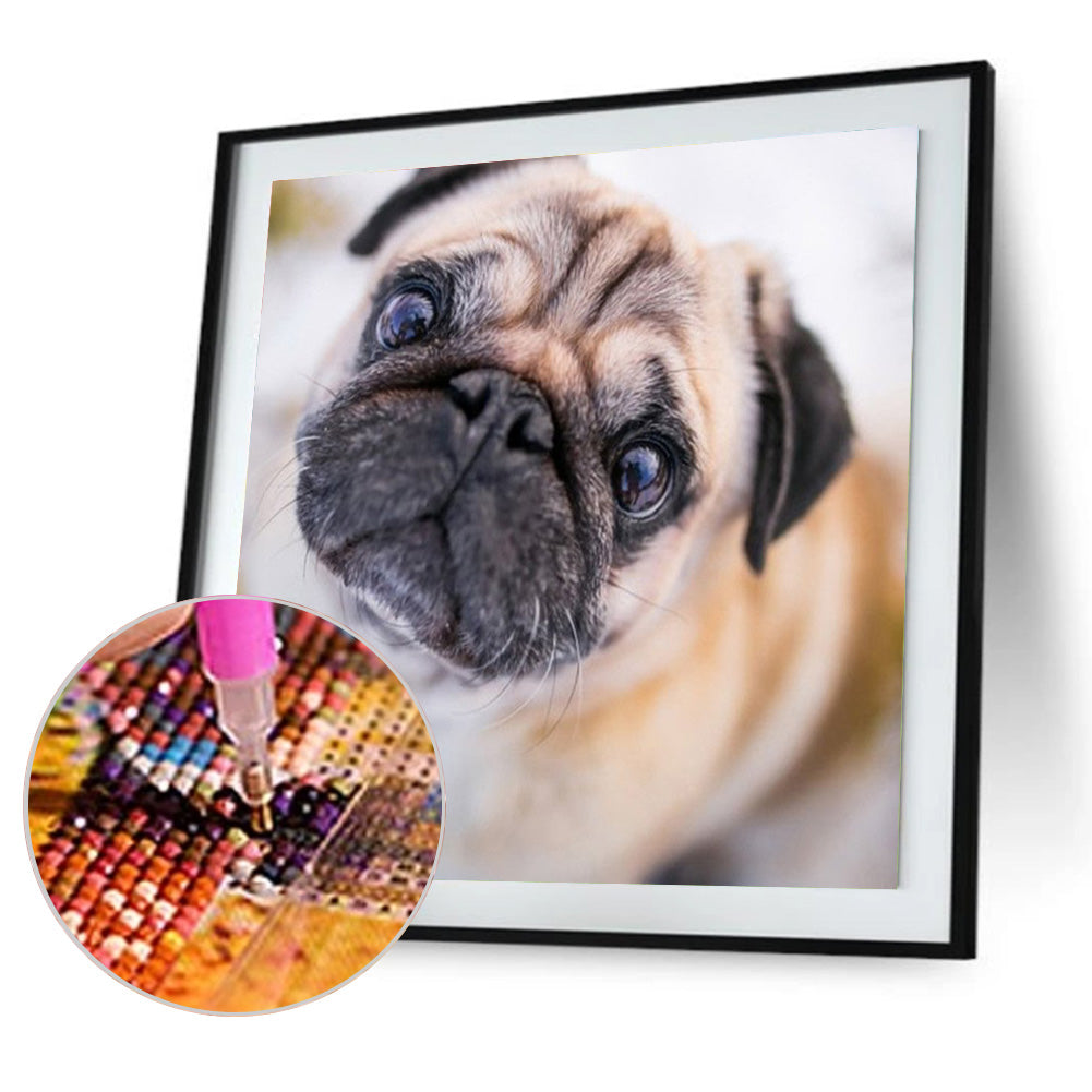 Pug Dog - Full Round Drill Diamond Painting 40*40CM