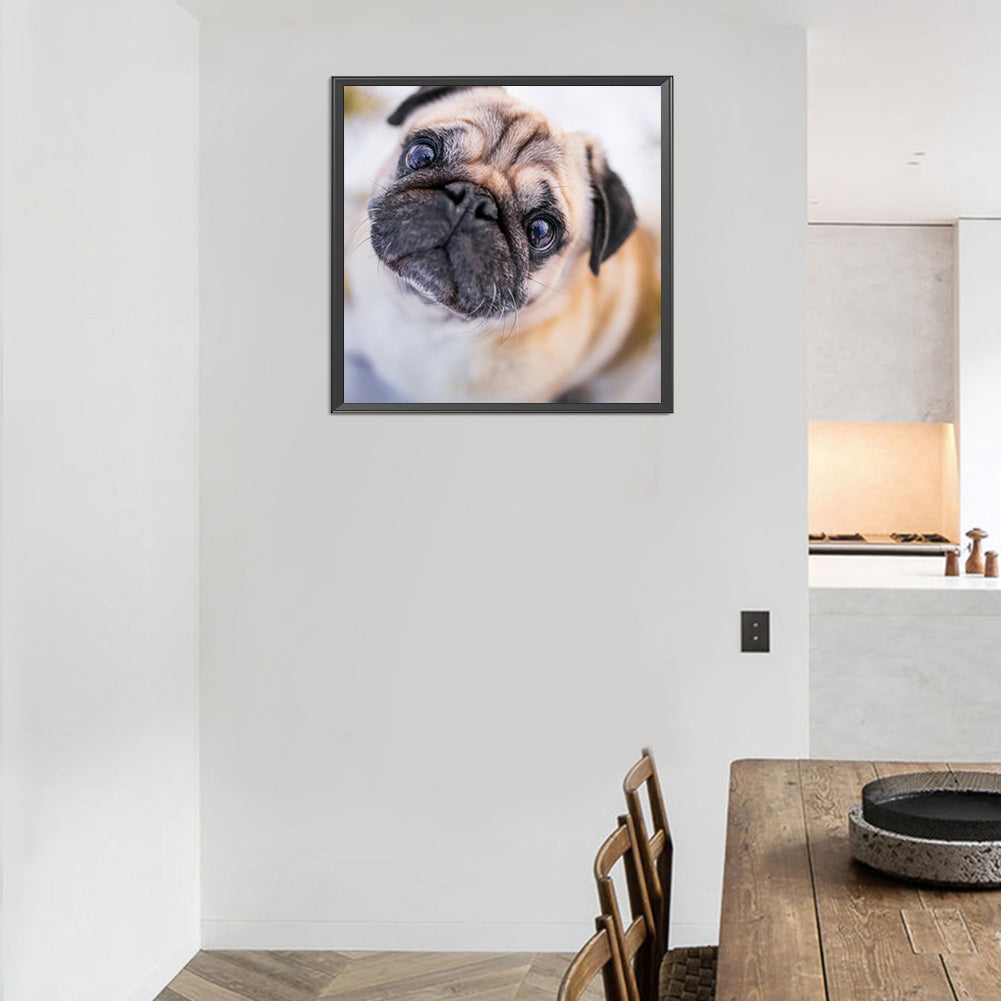 Pug Dog - Full Round Drill Diamond Painting 40*40CM