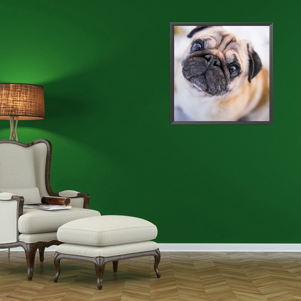 Pug Dog - Full Round Drill Diamond Painting 40*40CM