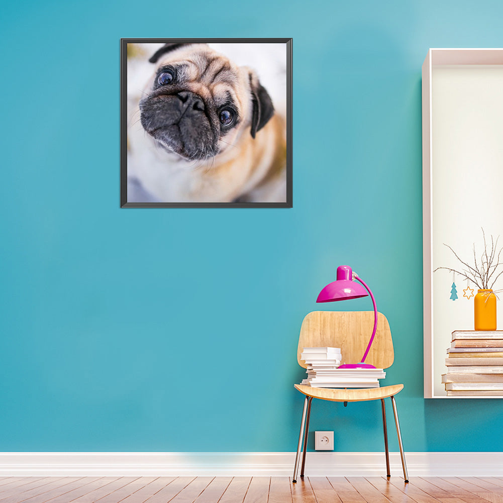 Pug Dog - Full Round Drill Diamond Painting 40*40CM