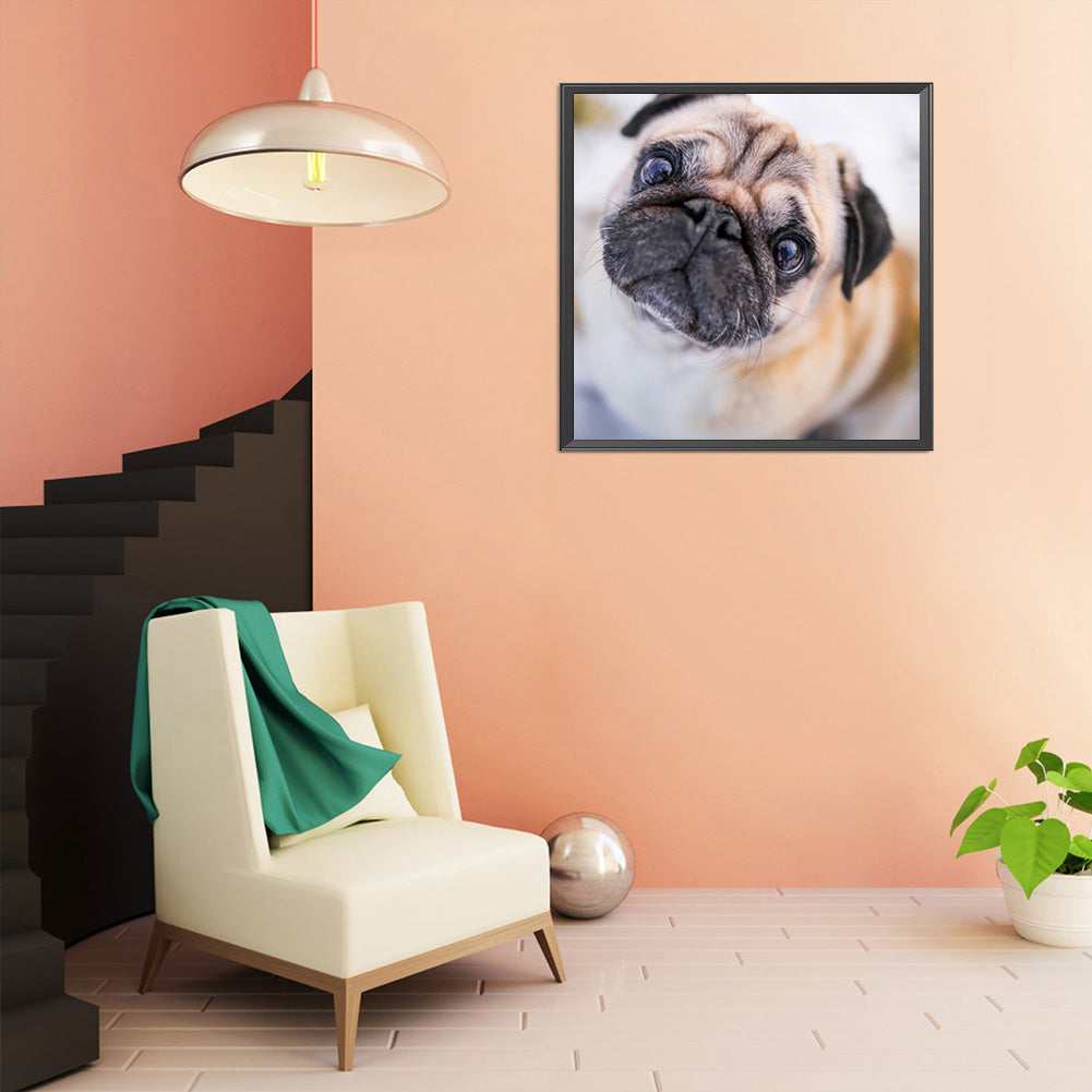 Pug Dog - Full Round Drill Diamond Painting 40*40CM