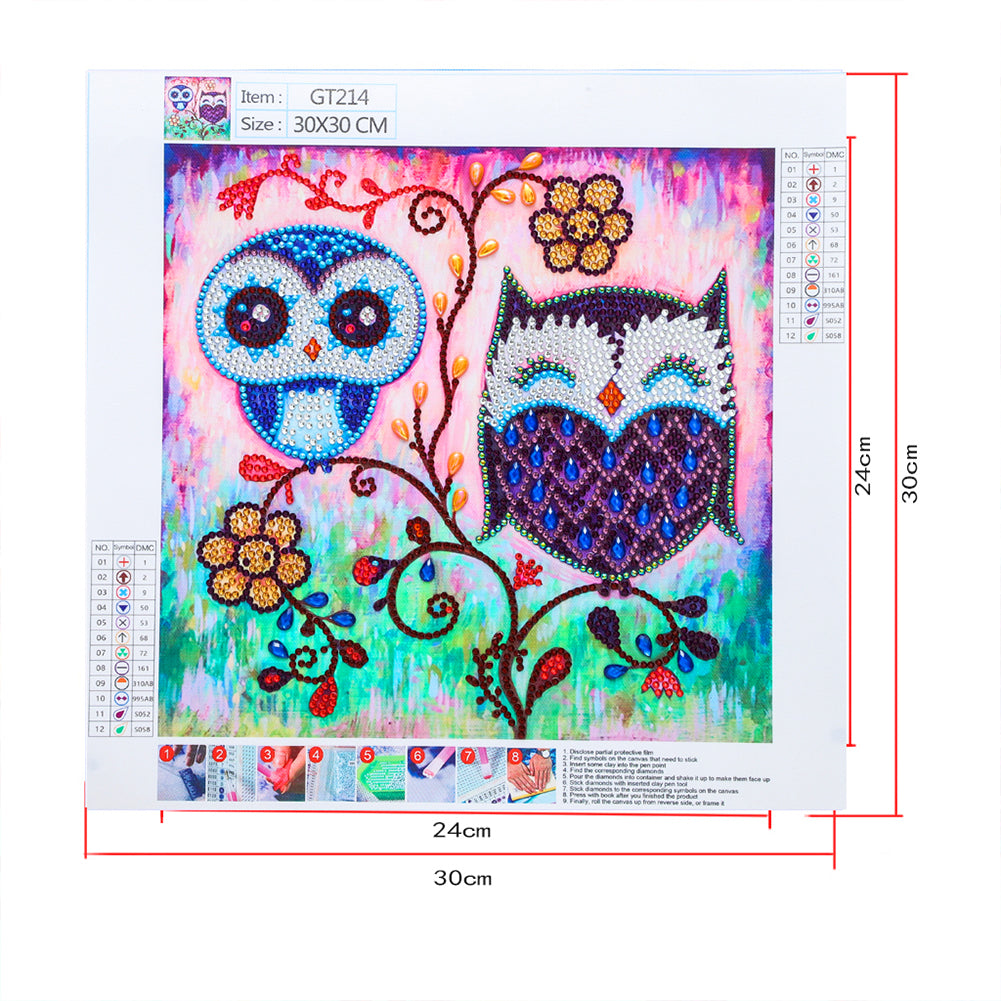 Owl - Special Shaped Drill Diamond Painting 30*30CM