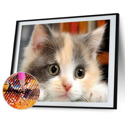 Cat - Full Round Drill Diamond Painting 40*30CM